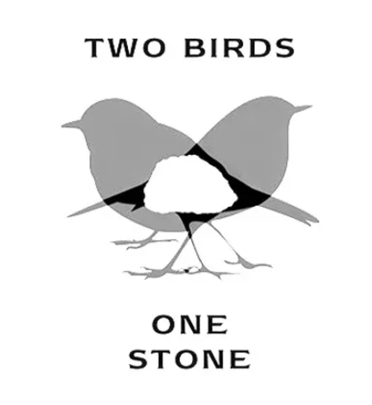 TWO BIRDS/ONE STONE